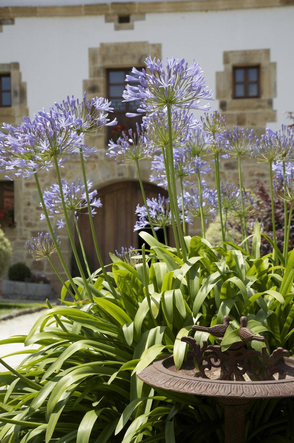 Casona De San Pantaleon De Aras Hotel Luaran gambar